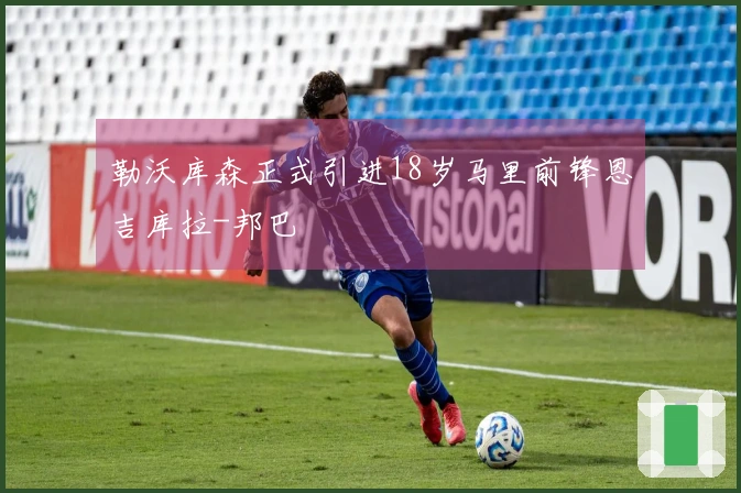 勒沃库森正式引进18岁马里前锋恩吉库拉-邦巴