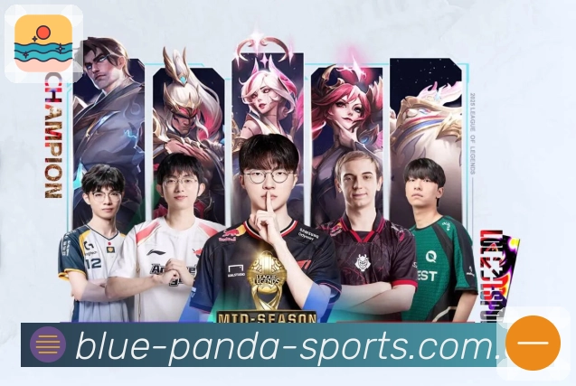 熊猫体育 Sports 官方视觉图